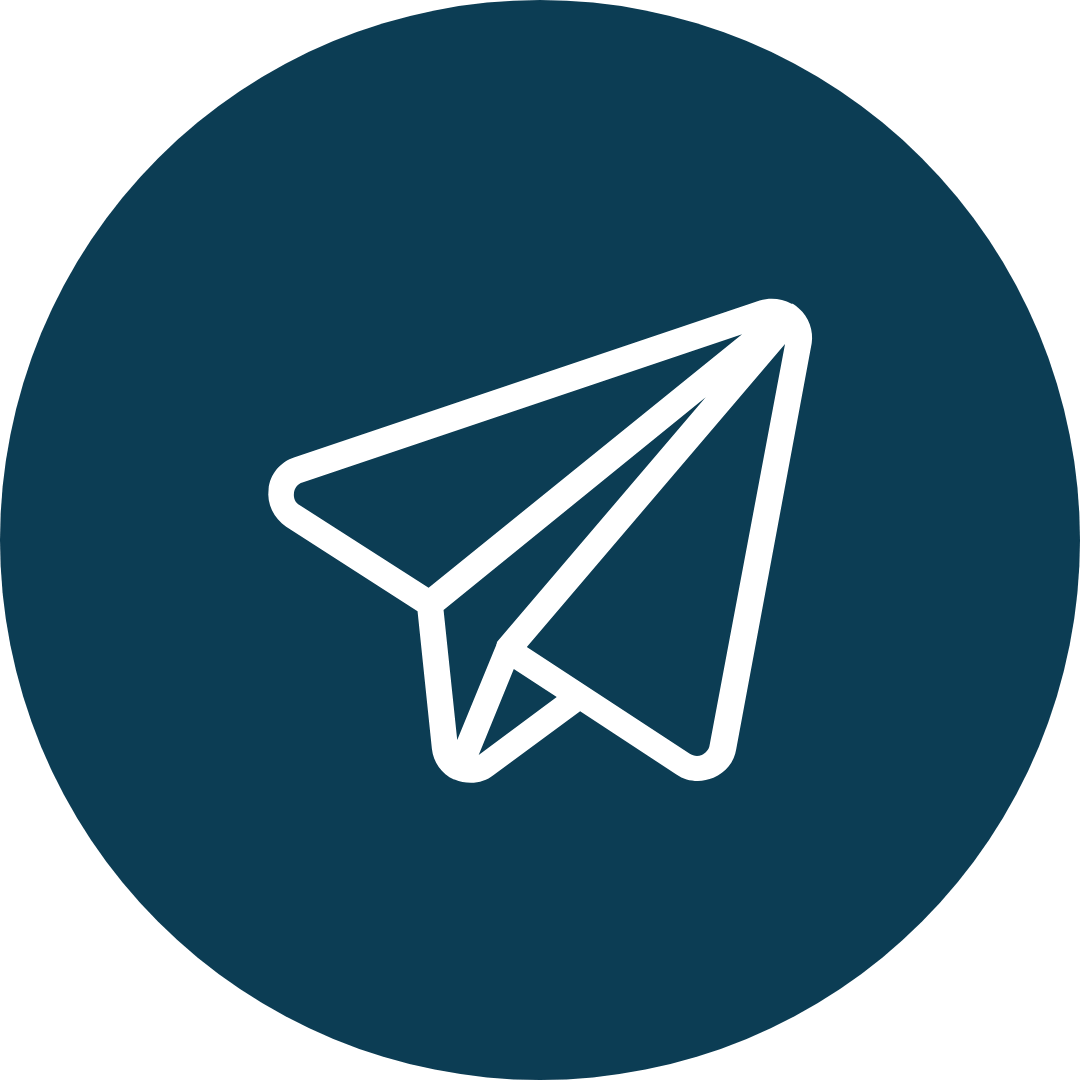 Paper Airplane Icon