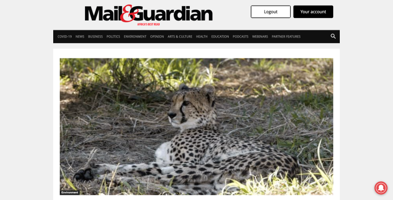 The Mail & Guardian Website Homepage