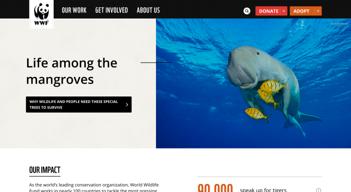 WWF Website Homepage