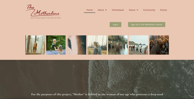 Screenshot of the homepage of The Motherline