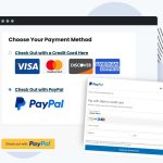 Add PayPal Express Option at Checkout Add On Plugin Icon