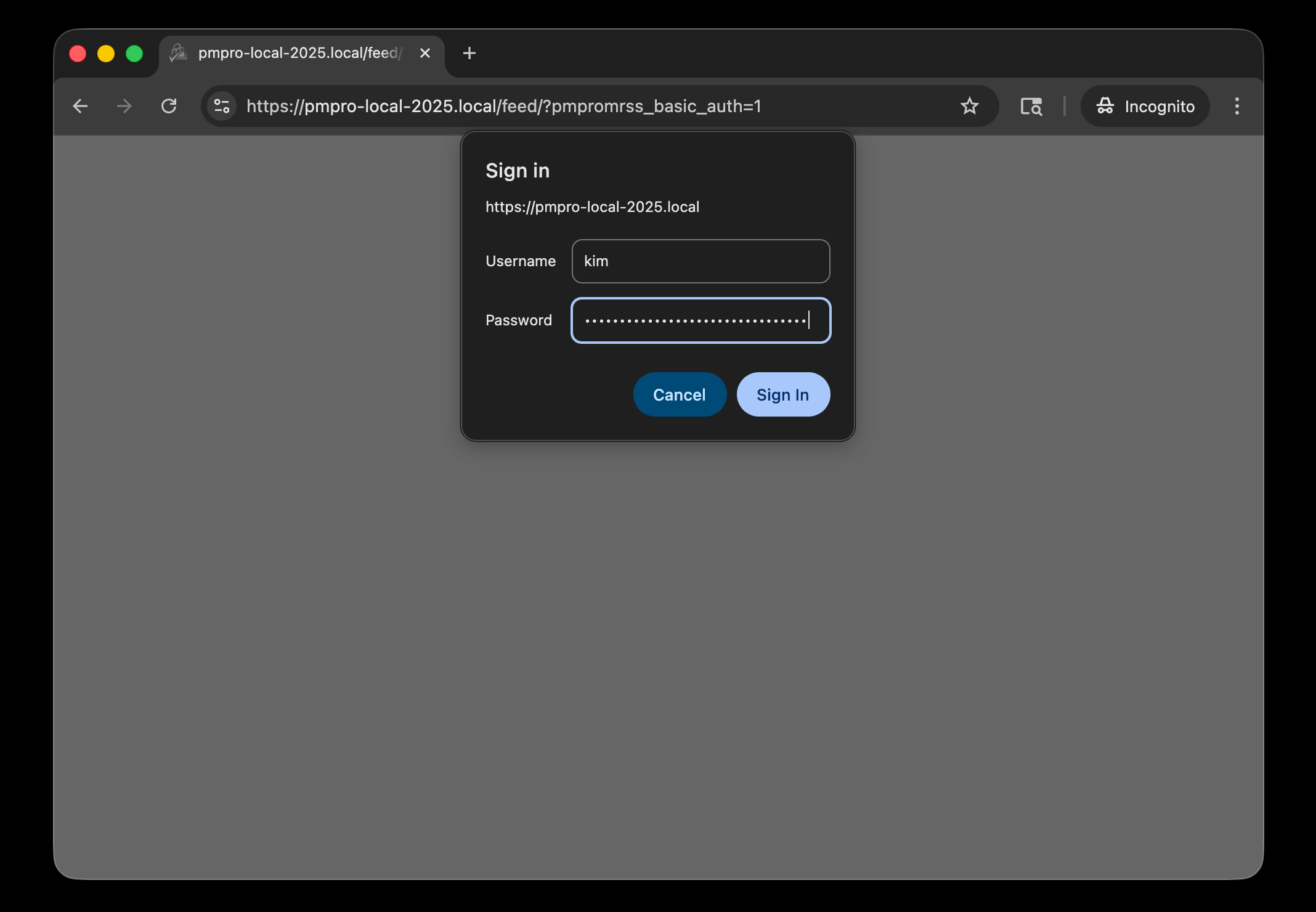 Browser Sign In dialog with username and application password entered for Basic Authentication