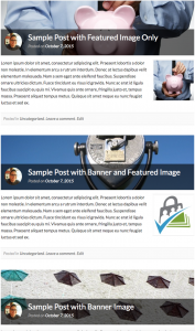 pmpro_memberlite-banner-blog