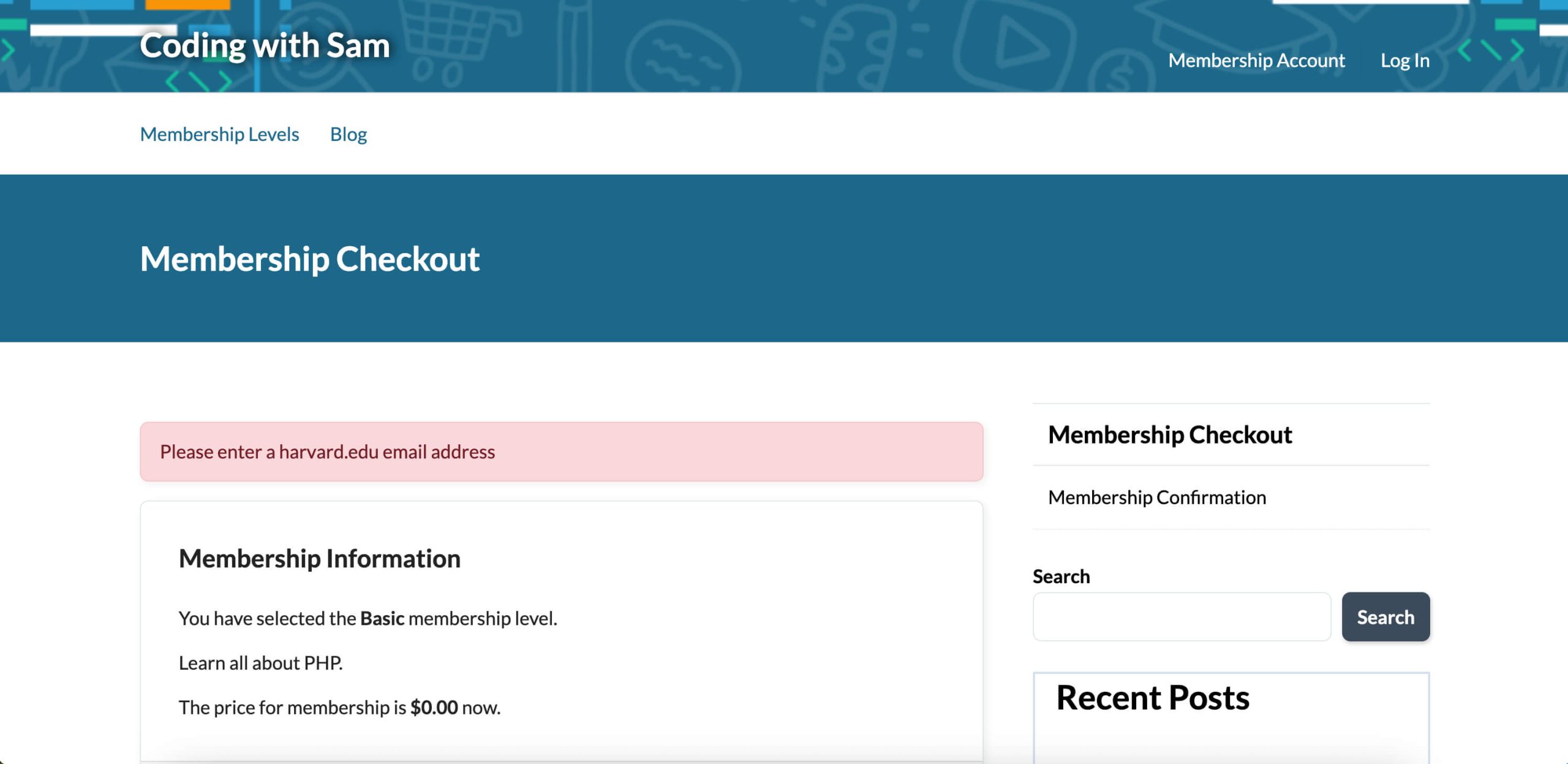 Screenshot of an error message showing after a restricted domain was entered during checkout