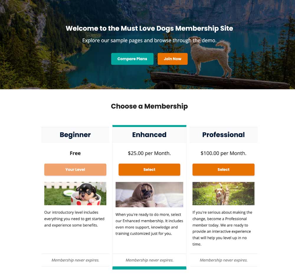 Example of a default membership site homepage focused on features, value, and new member acquisition