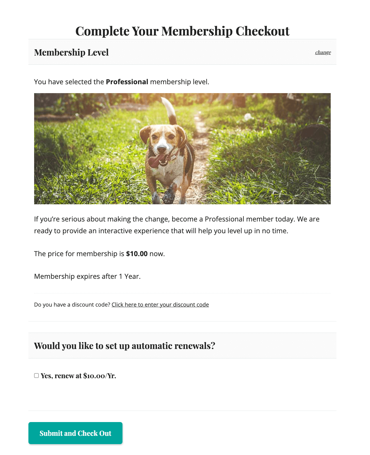 Screenshot of example membership checkout page with the Auto-Renewal option field available