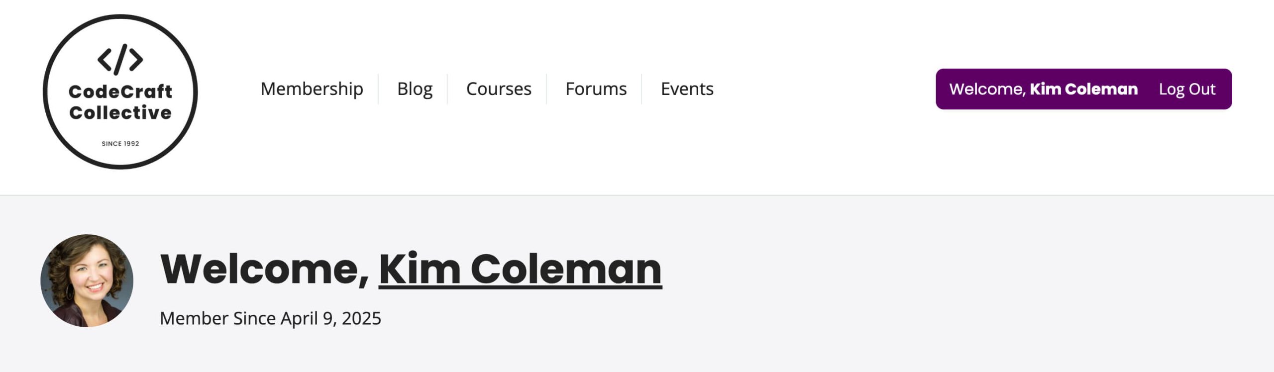 Frontend view of customized header