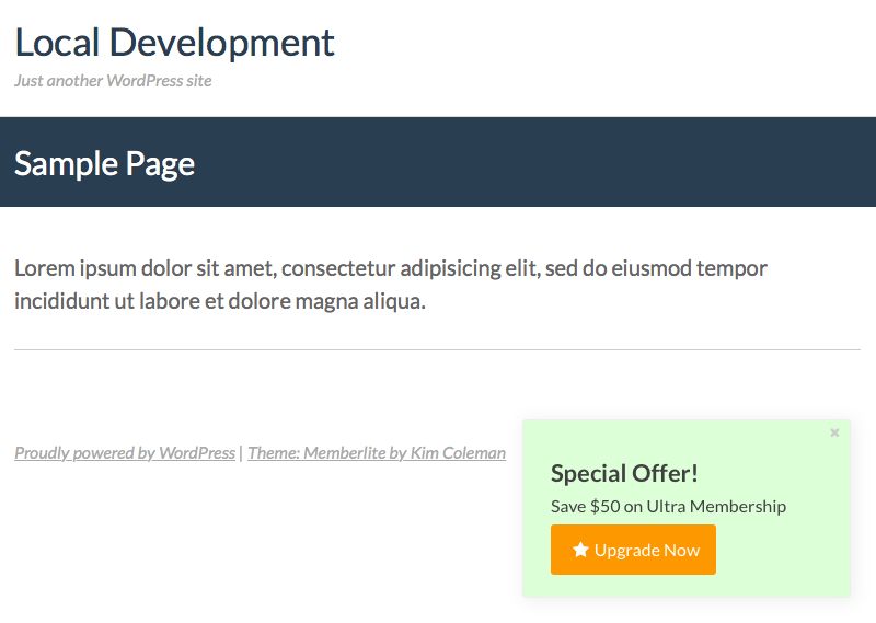 Screenshot of the Special Offer popup or banner notification on the frontend