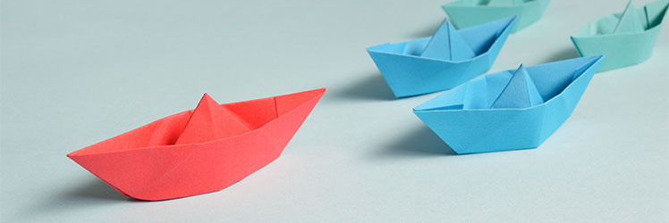 Banner Image for Thinking of Starting or Growing a WordPress Based Business