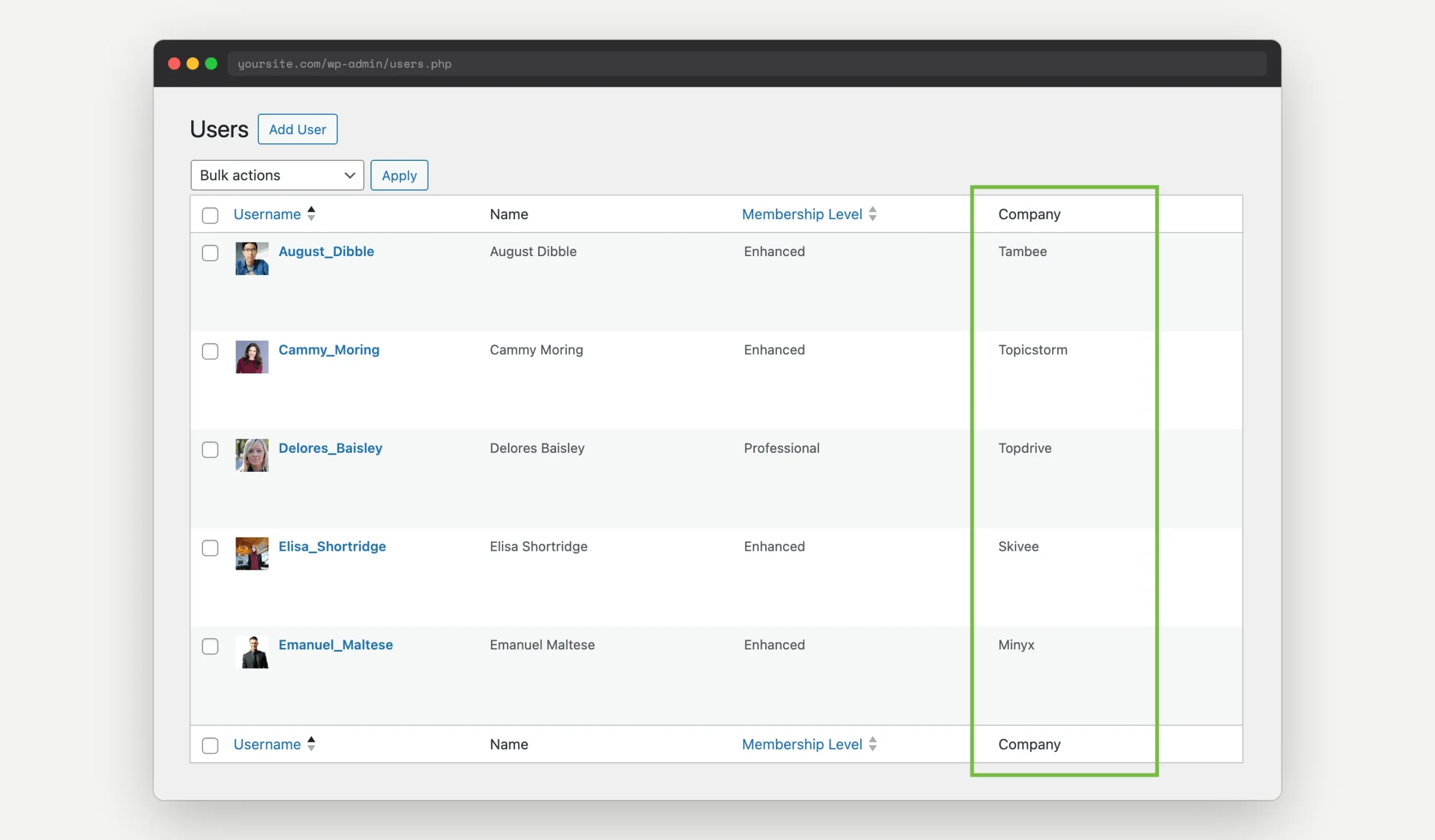 WordPress All Users admin screen with a custom Company column highlighted