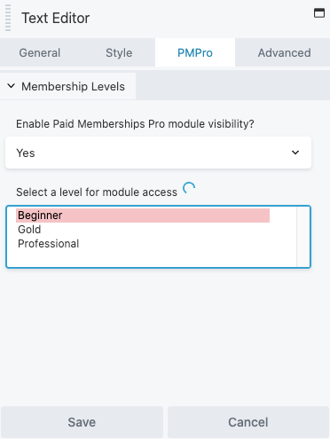 Beaver Builder "PMPro" tab settings.