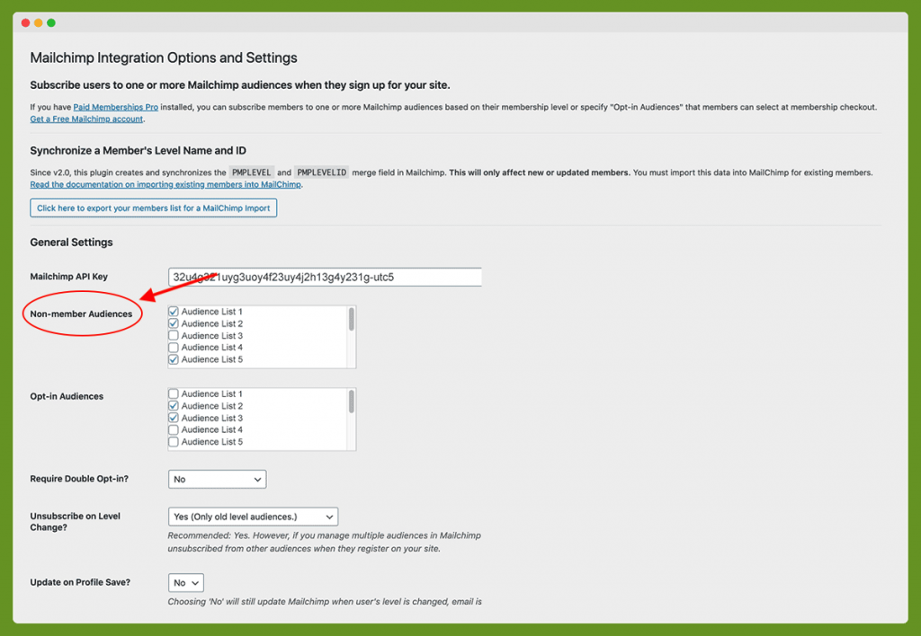 Non-member Audiences in Mailchimp Settings