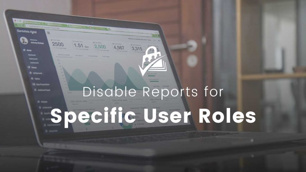 Banner image for Disable Reports for Specific User Roles