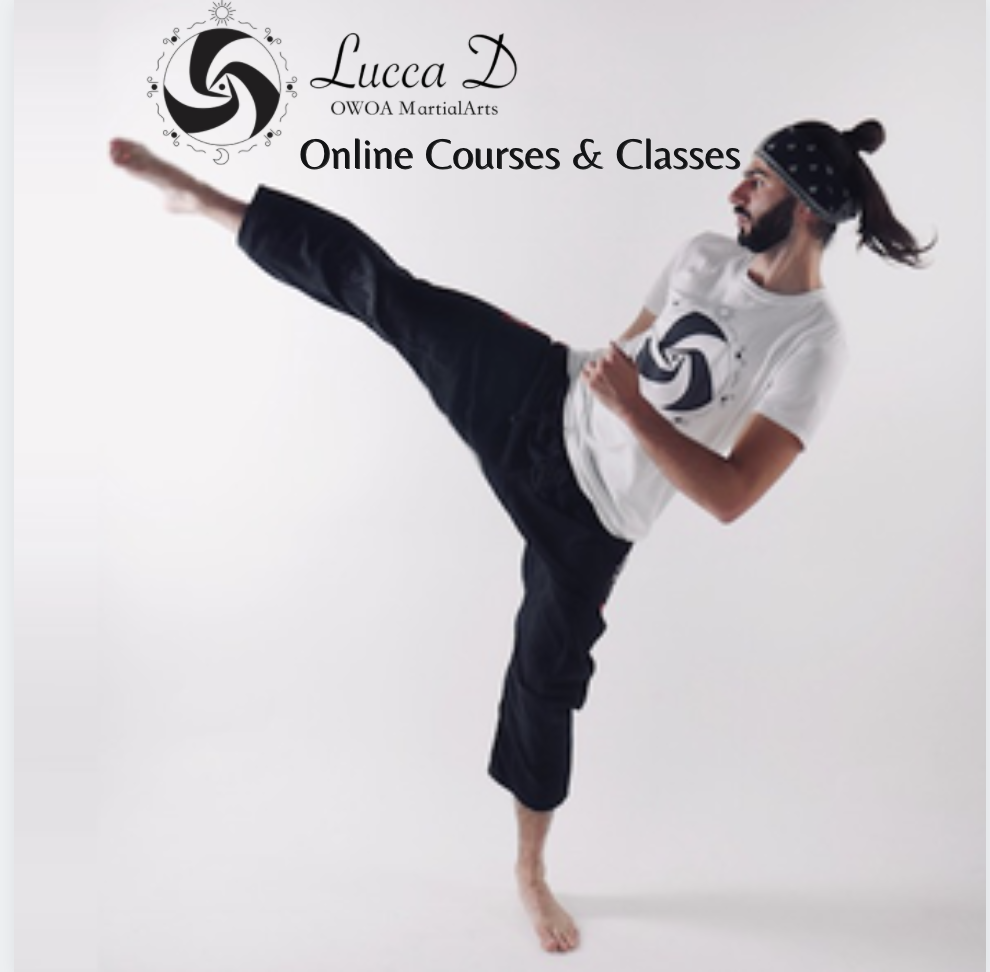 OWOA Martial Arts sells courses to improve your martial arts