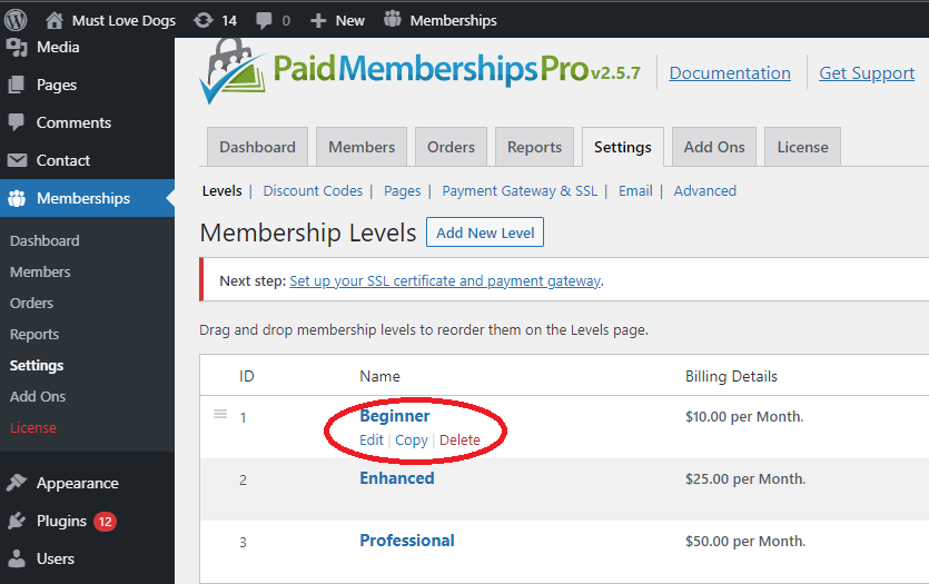 Membership Levels Page on the Demo website of PMPro