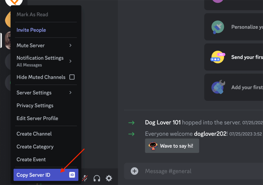 Screenshot of Settings in Discord app to copy server ID