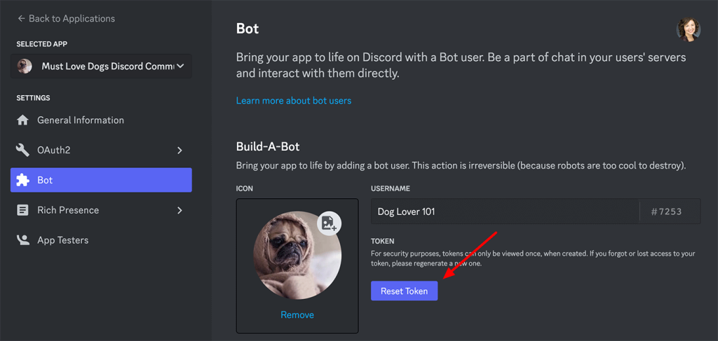 Screenshot of Discord Bot settings to reset token