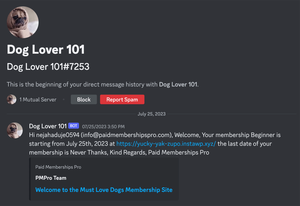 Screenshot of new direct message history in discord app