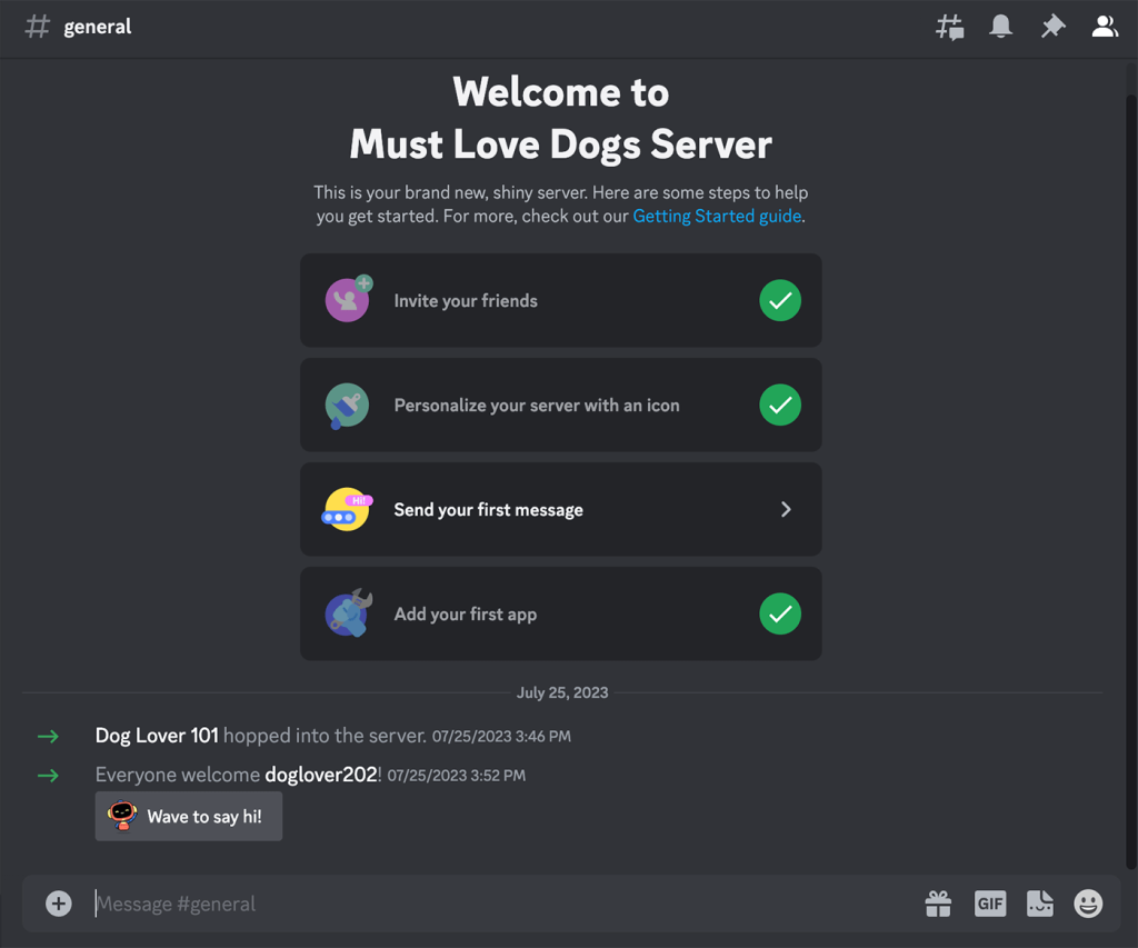 Screenshot of successful connection to discord server