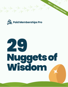 Cover image from ebook 29 Nuggets of Wisdom Volume 1 - Sample Collection