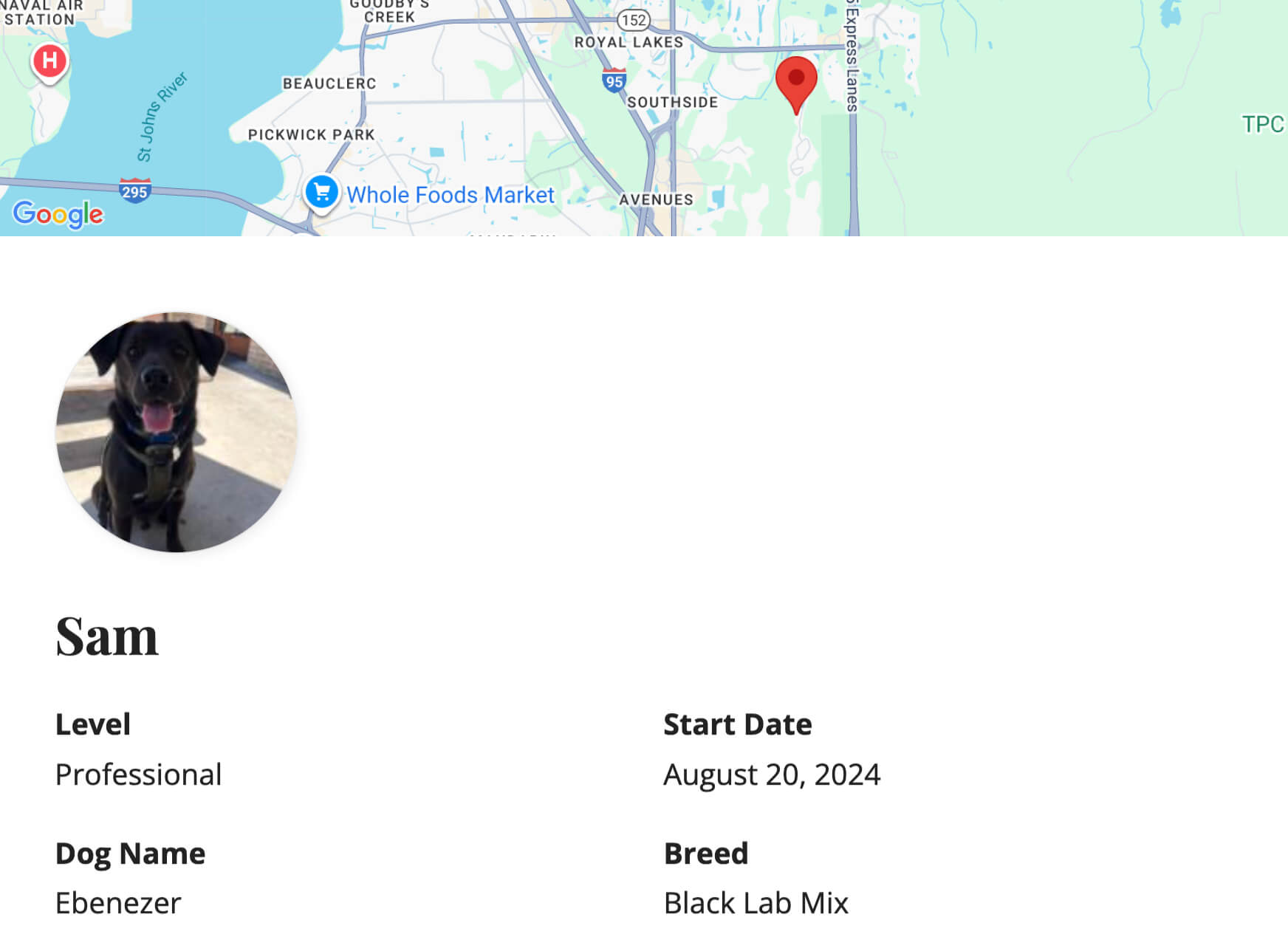 Screenshot of the individual member profile page with map