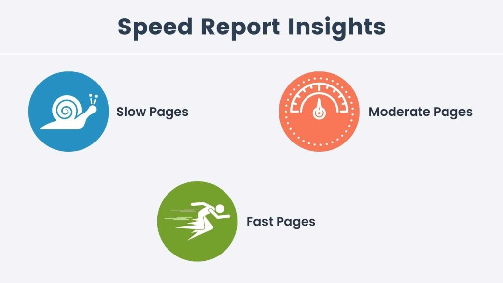 Infographic of speed report insights