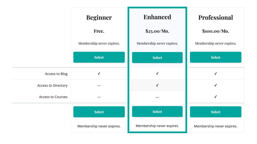 Screenshot of a tiered membership level example showing beginner, enhanced and professional levels in a comparison pricing table