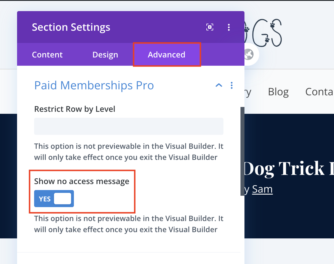 Screenshot of the Divi No Access Message from an Edit Post or Page screen.
