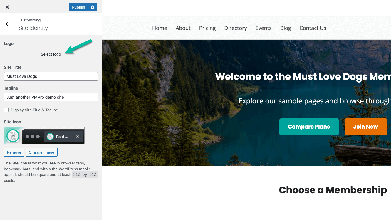 Screenshot of adding logo in Memberlite