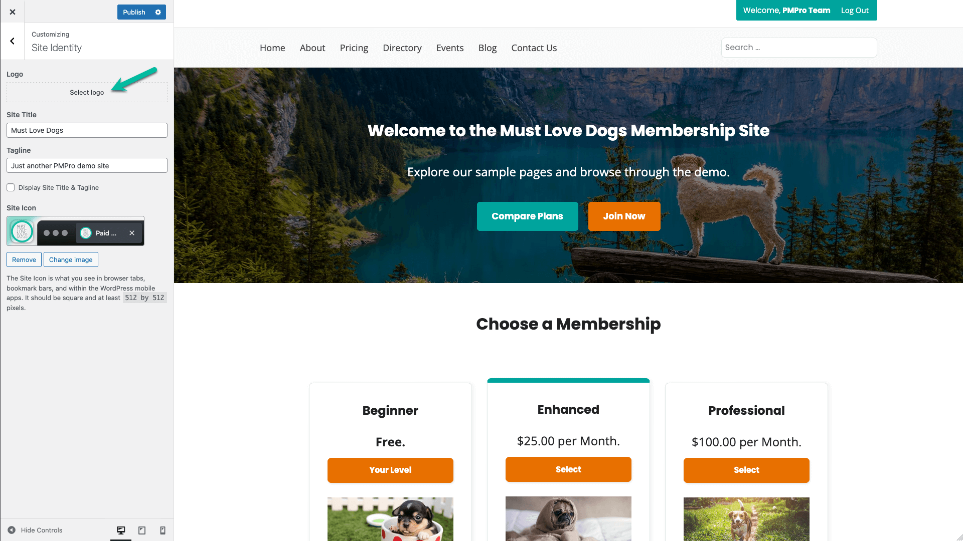 Screenshot of adding logo in Memberlite