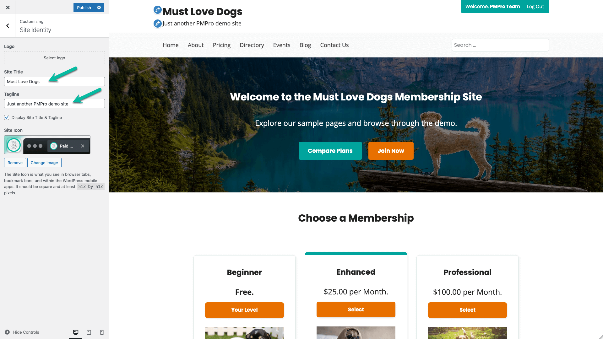 Screenshot showing how to update site title and tagline in Memberlite