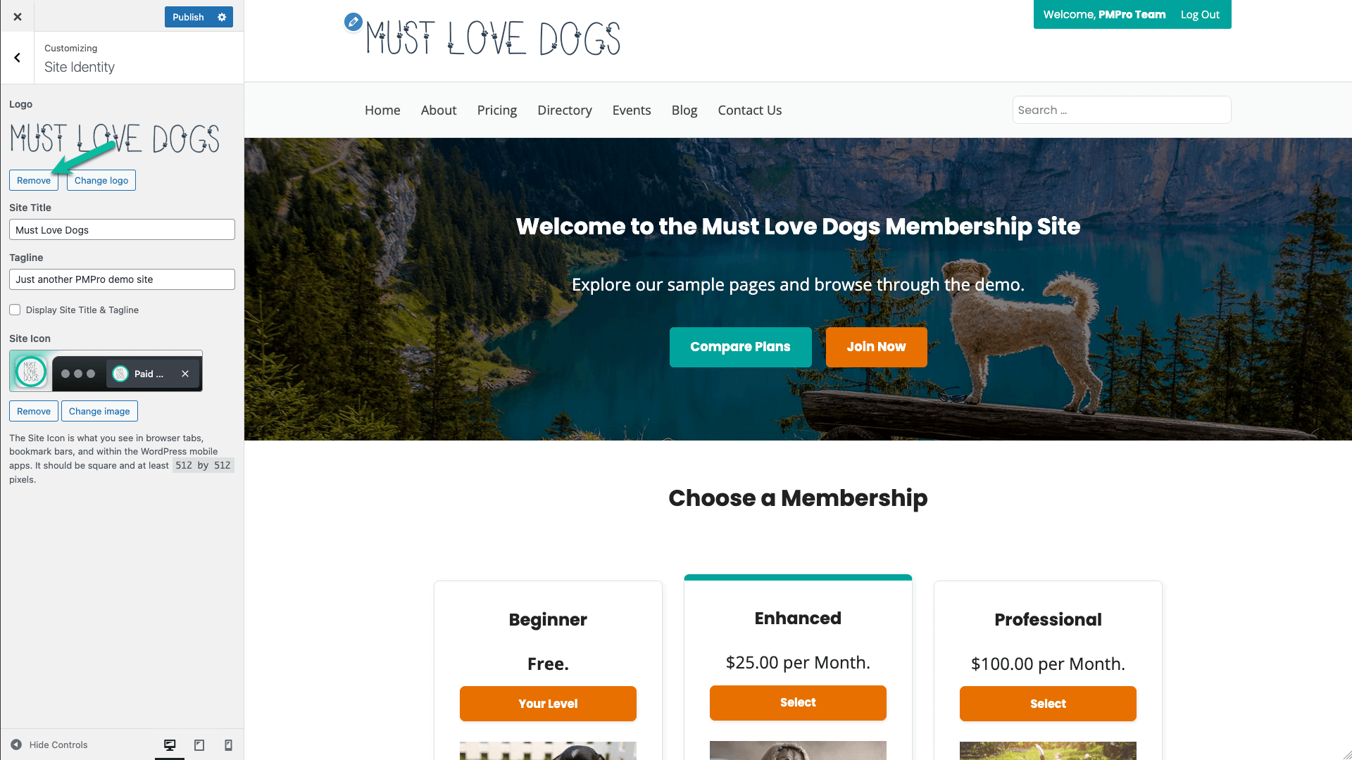 Screenshot showing how to remove your logo in Memberlite