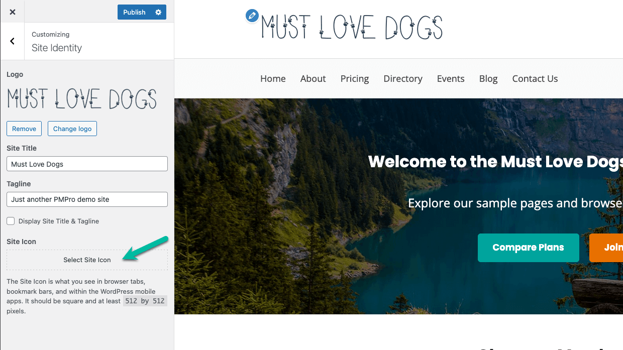 Screenshot showing how to add a site icon in Memberlite
