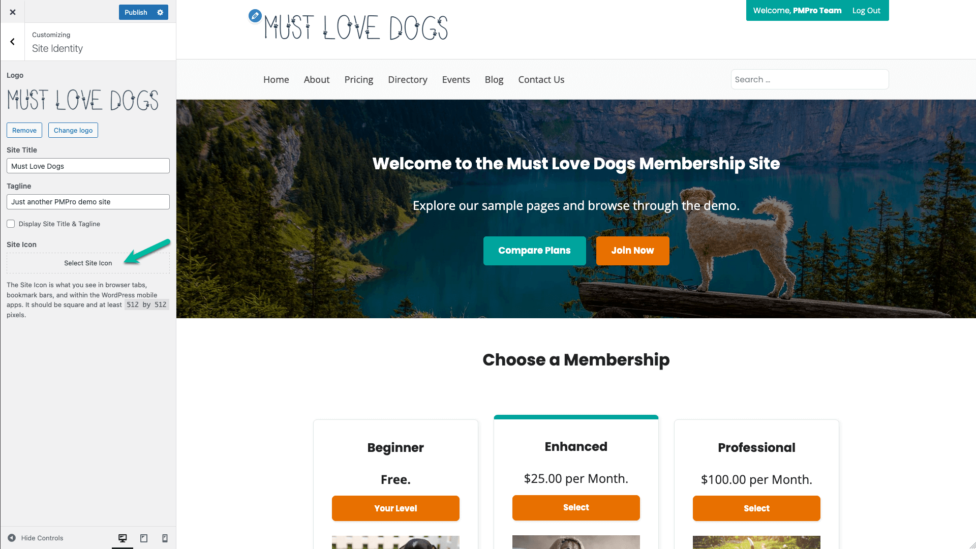 Screenshot showing how to add a site icon in Memberlite