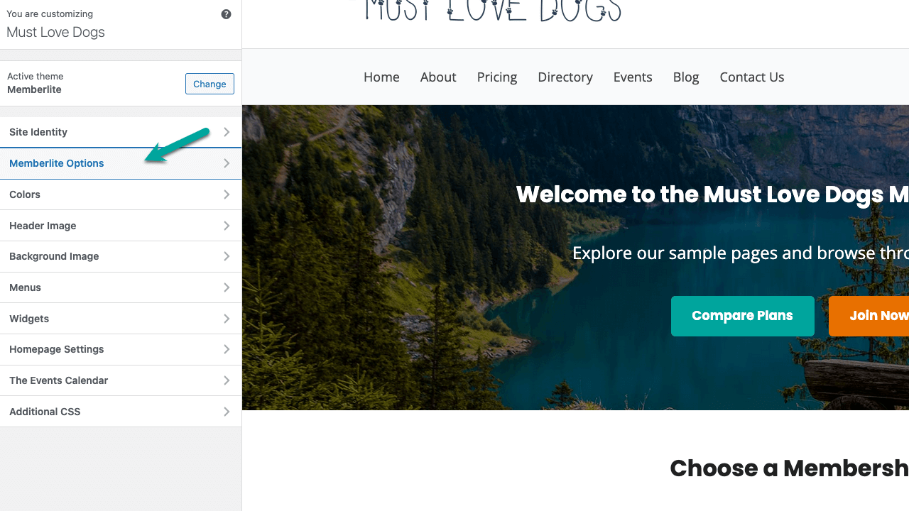 Screenshot of customizing the theme in Memberlite