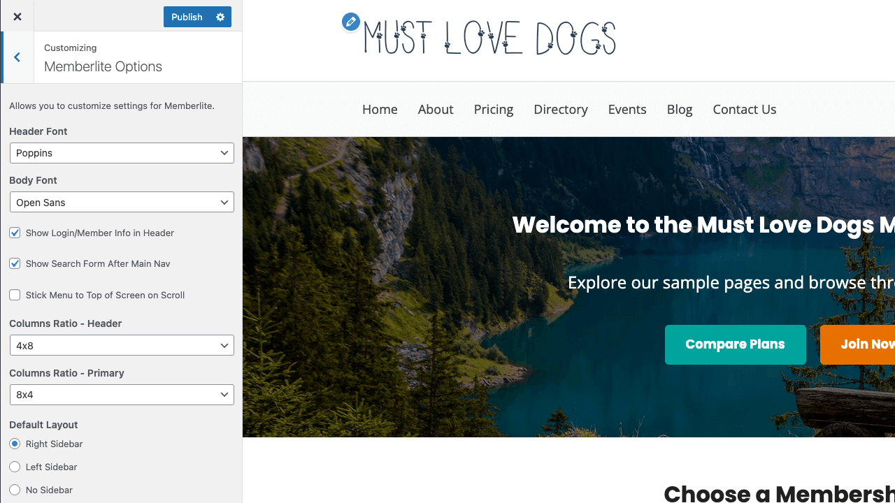 Screenshot showing header customization options in Memberlite
