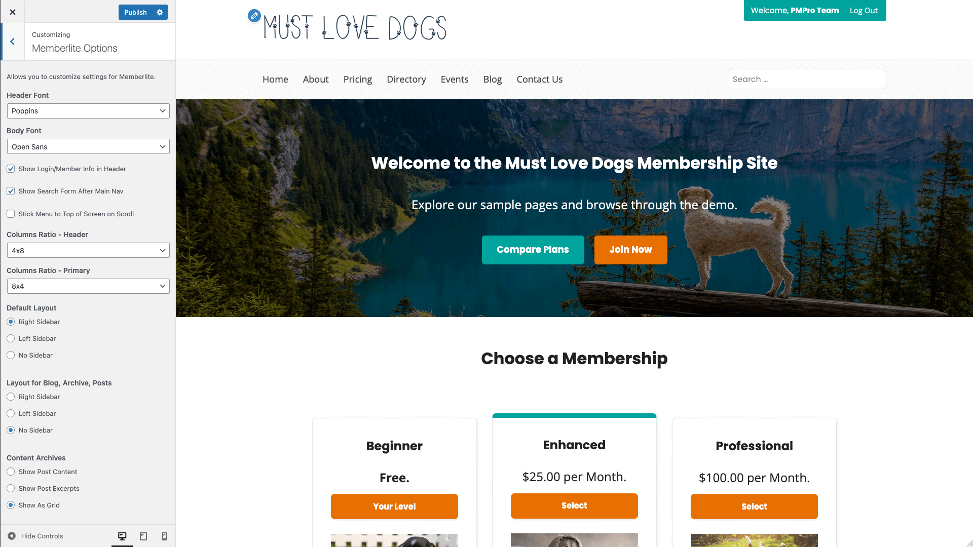 Screenshot showing header customization options in Memberlite