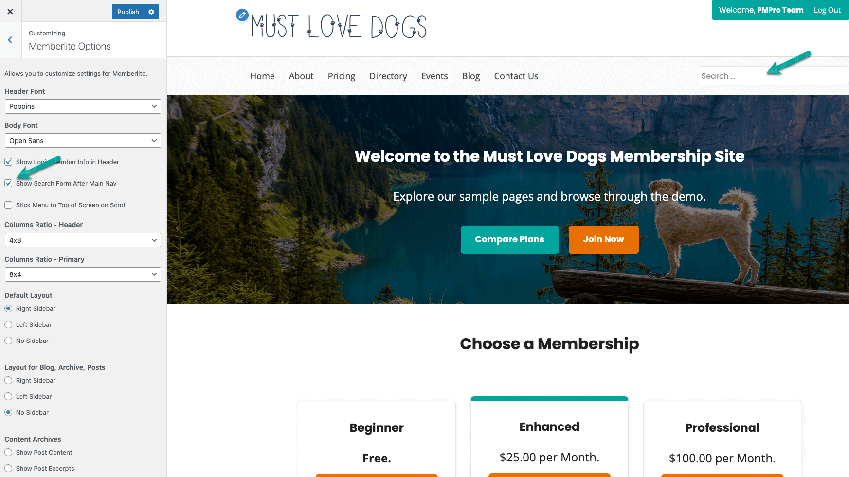 Screenshot demonstrating how to show the search form after main nav in Memberlite