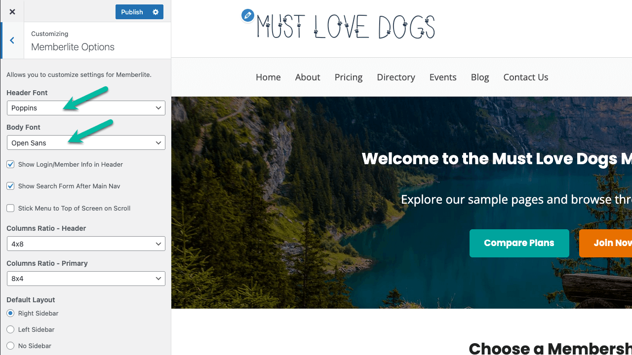 Screenshot showing how to set header and body font in Memberlite