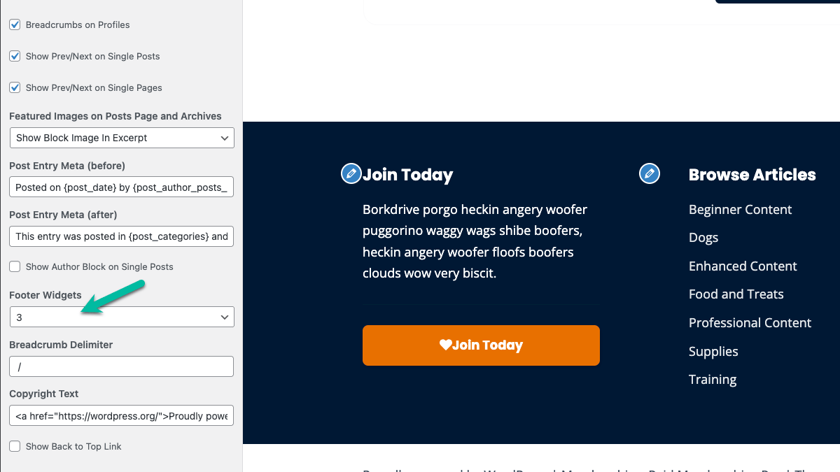 Screenshot showing Footer Customization settings in Memberlite