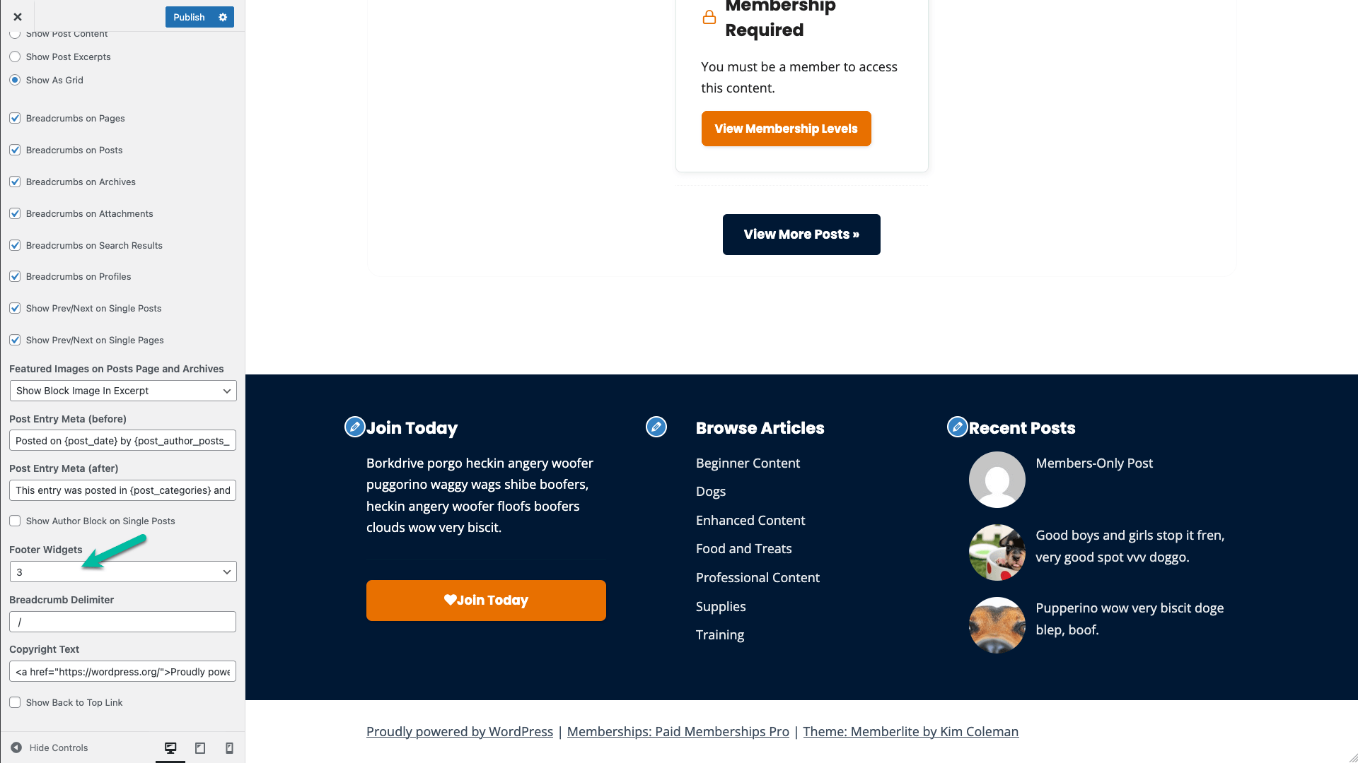 Screenshot showing Footer Customization settings in Memberlite