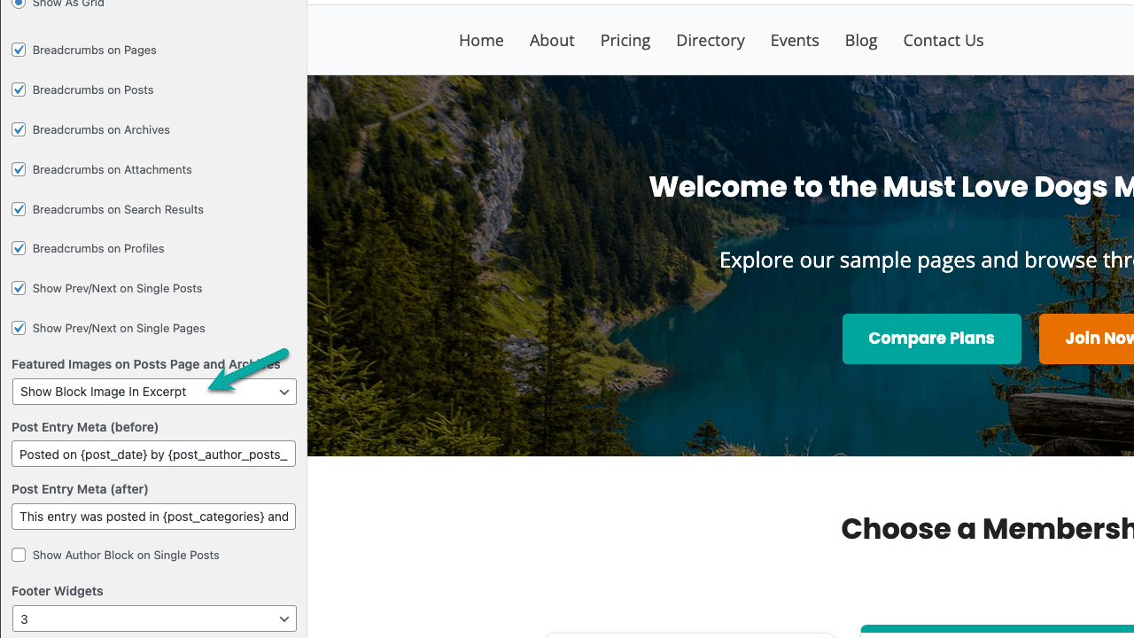 Screenshot showing Memberlite settings for Featured and Banner Images