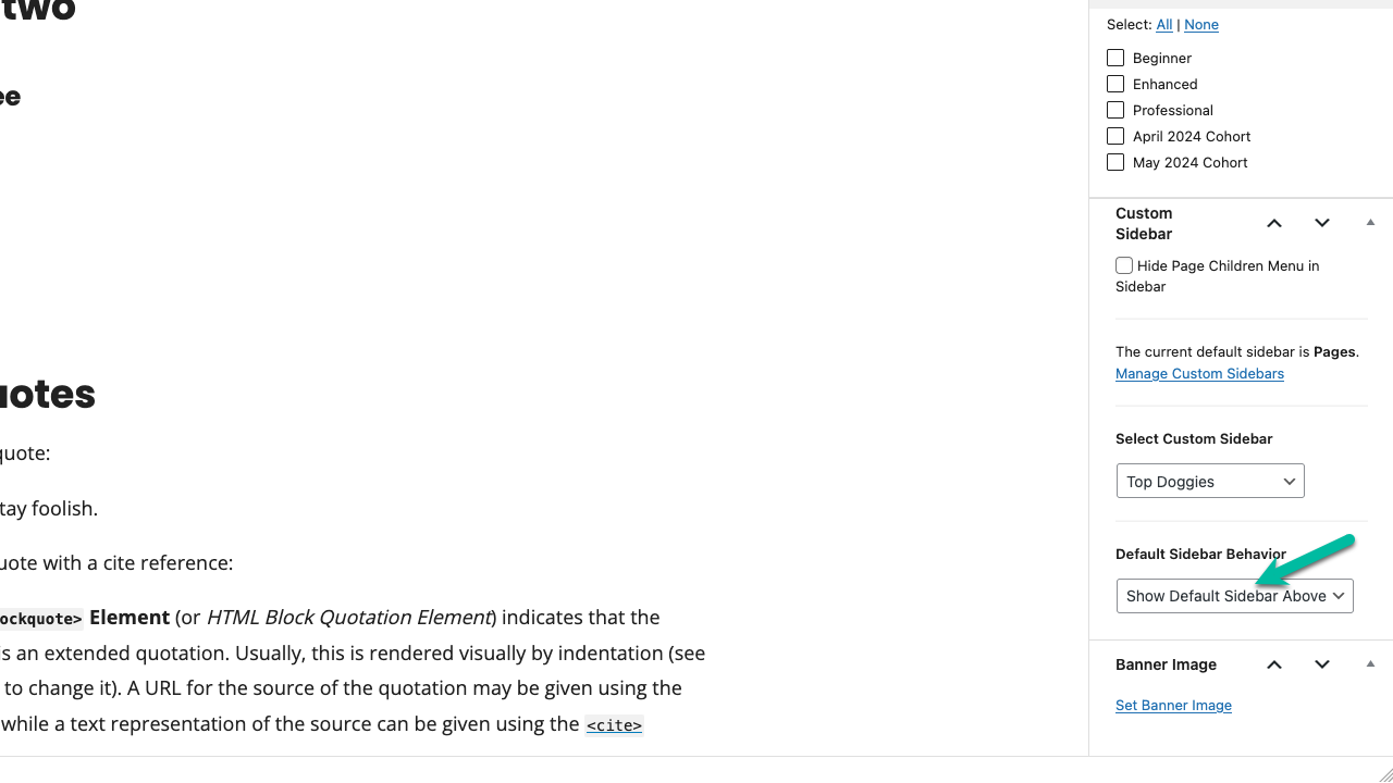 Screenshot showing Memberlite sidebar settings
