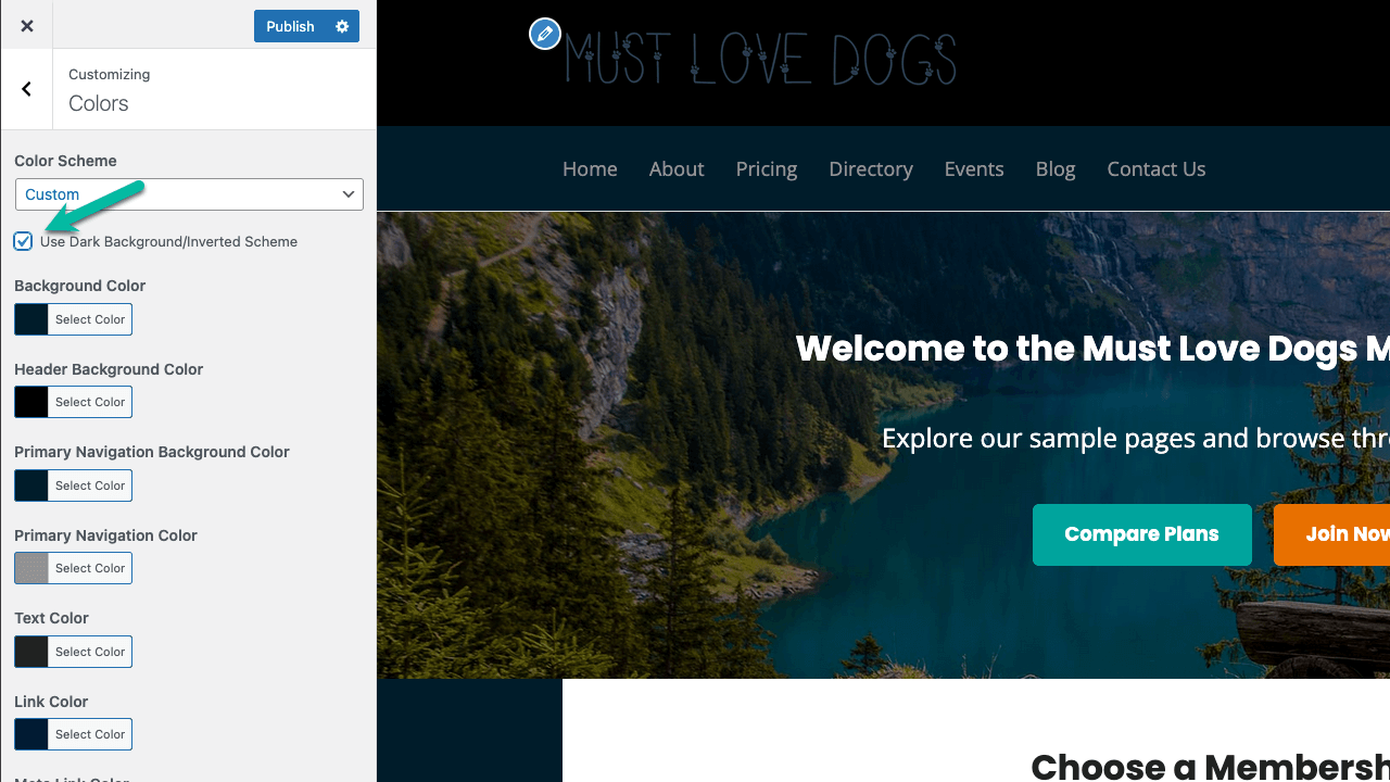 Screenshot showing how to turn dark backgrounds on in Memberlite