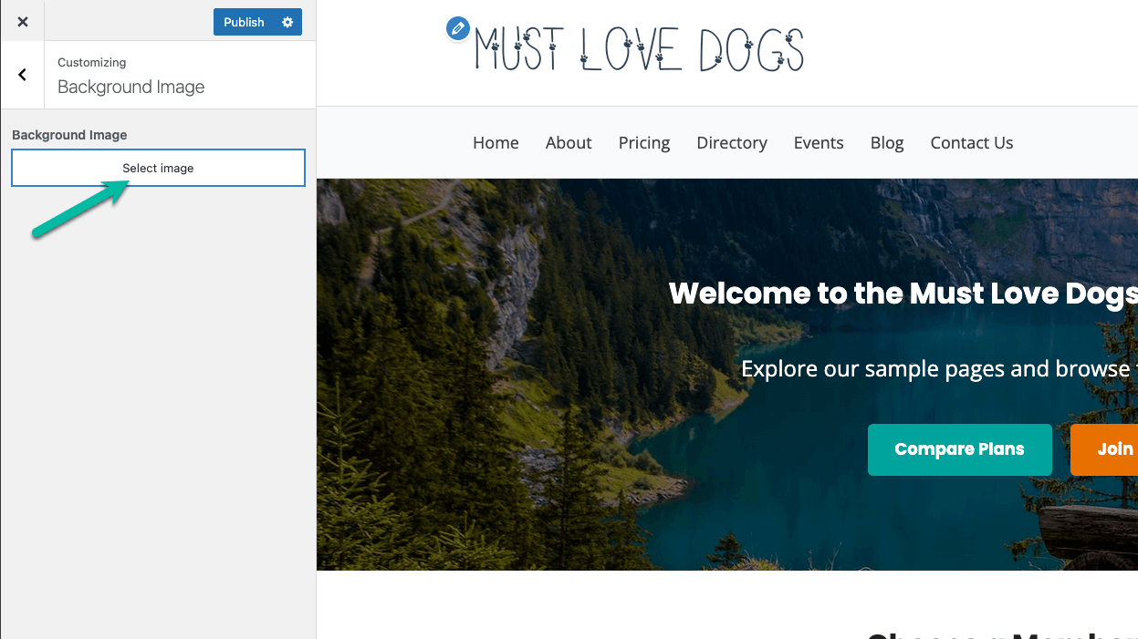 Screenshot showing how to add a site background image