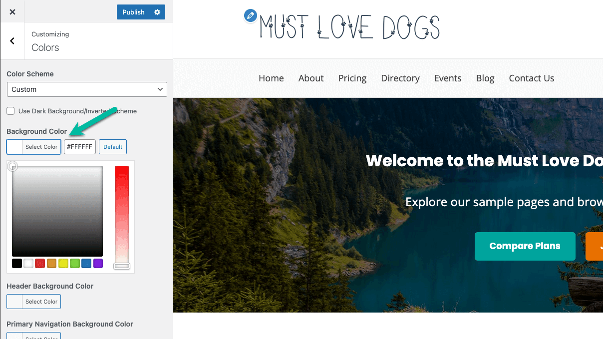 Screenshot showing how to set the background color