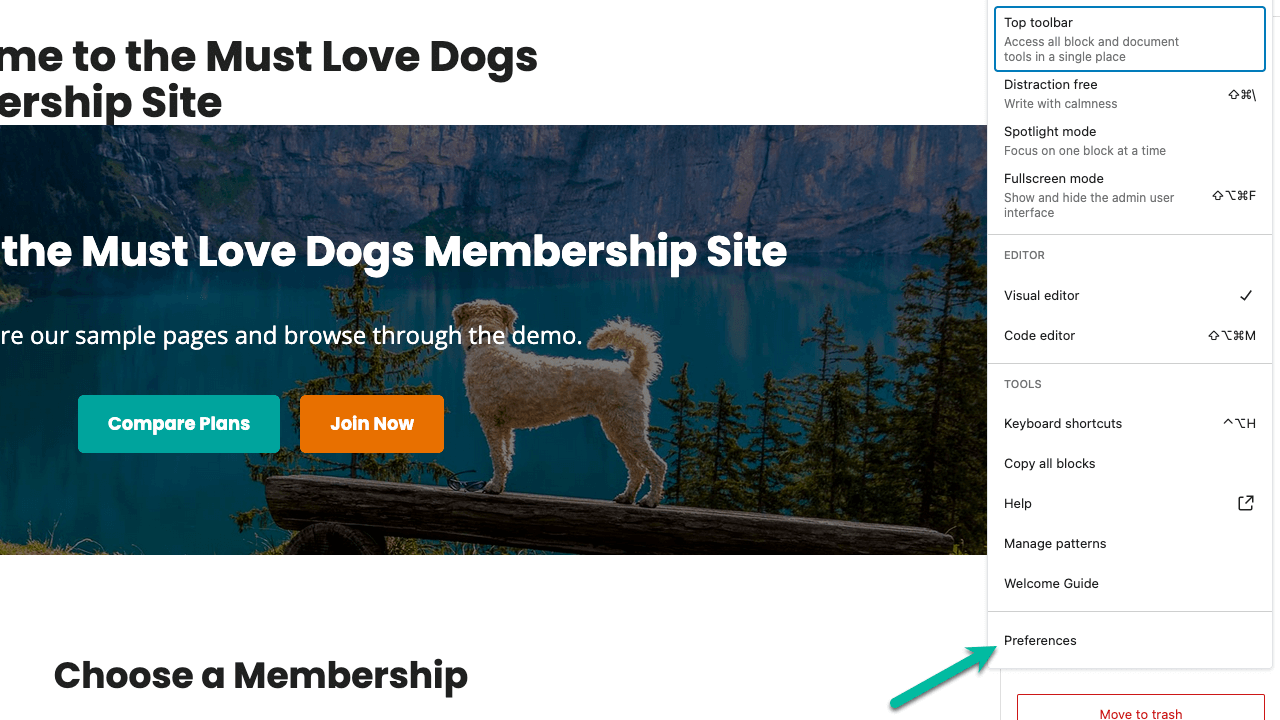 Screenshot showing 'Preferences' for sidebar in Gutenberg