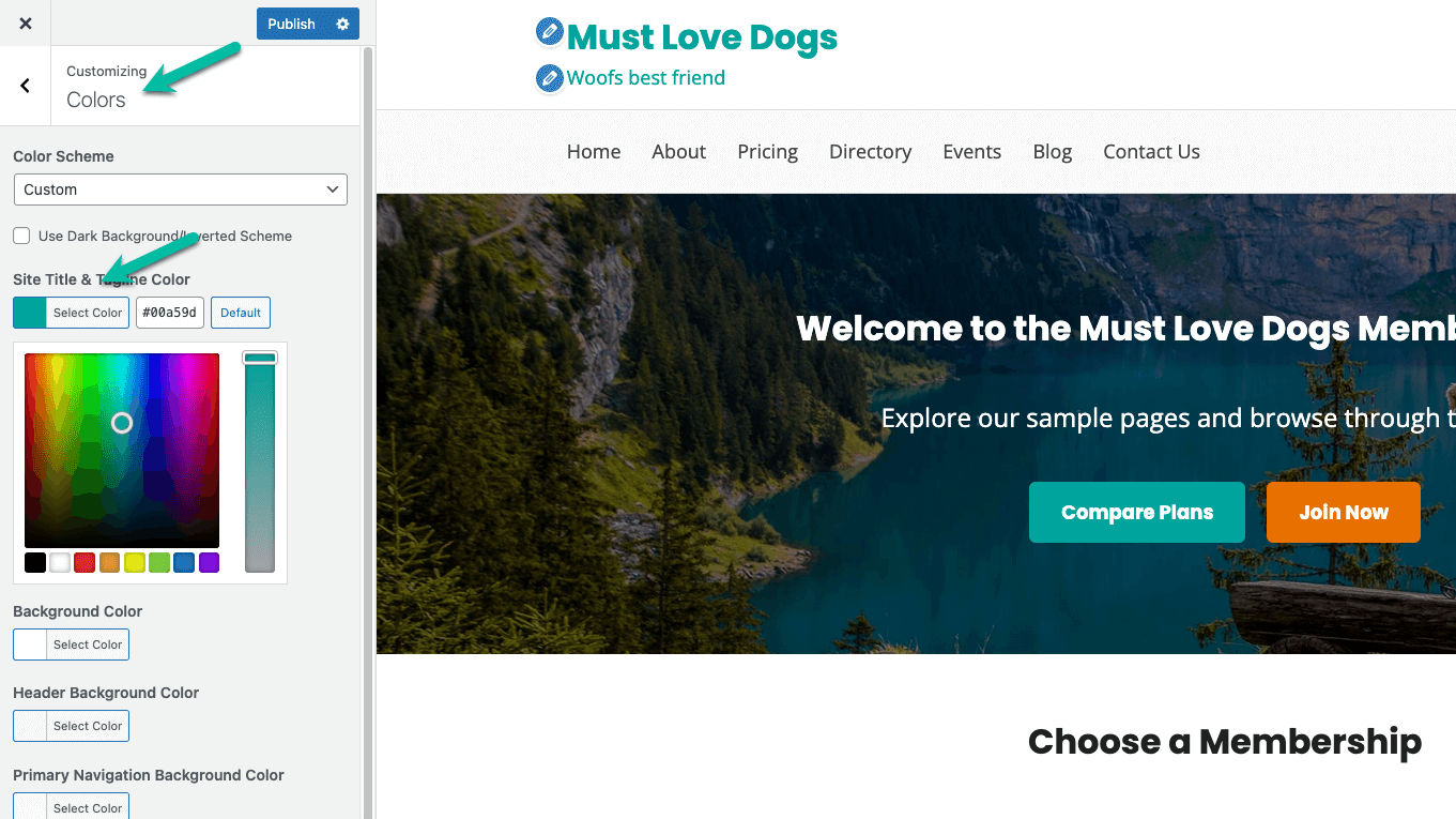 Screenshot showing how to modify color for site title and tagline in Memberlite