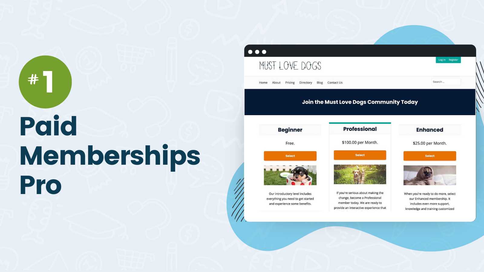 Screenshot of Paid Memberships Pro Complete Website Frontend with Pricing Page