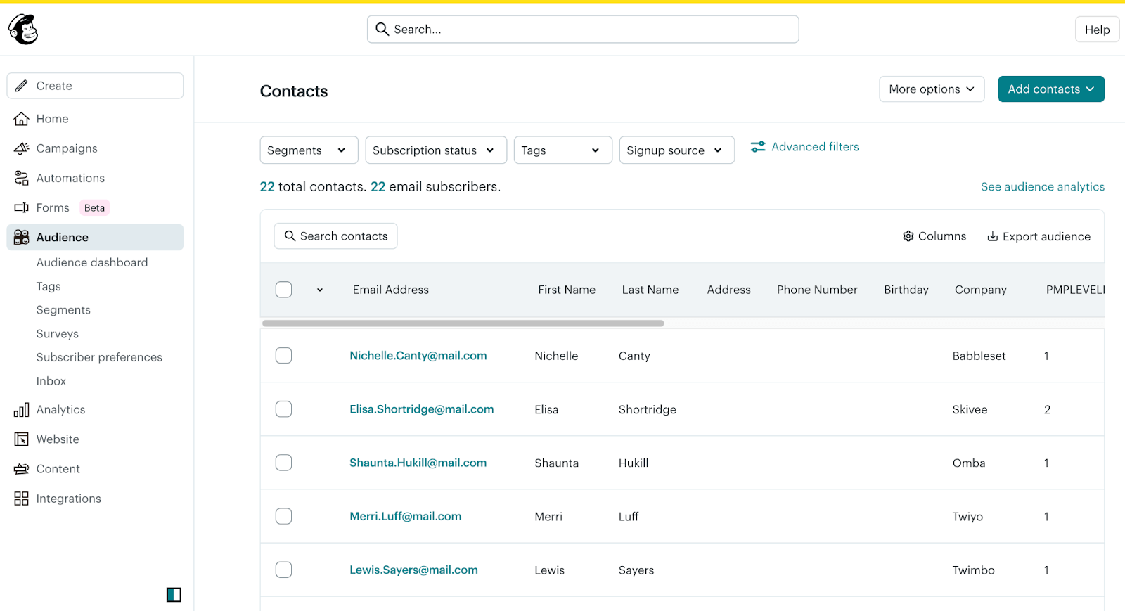 Screenshot of Audience screen in Mailchimp